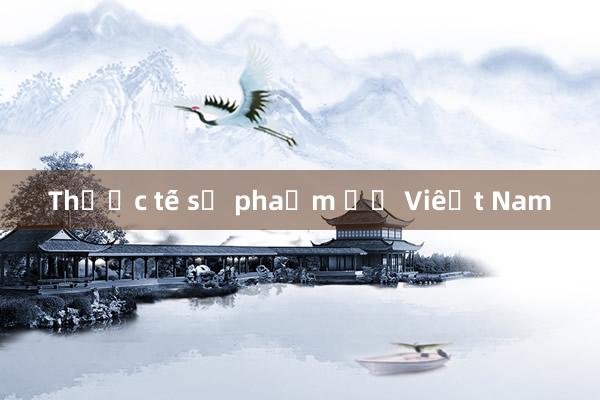 Thực tế sư phạm ở Việt Nam