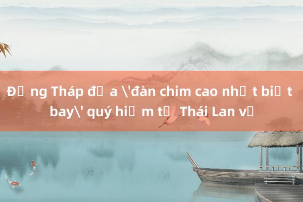 Đồng Tháp đưa 'đàn chim cao nhất biết bay' quý hiếm từ Thái Lan về