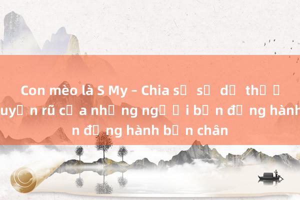 Con mèo là S My – Chia sẻ sự dễ thương và sự quyến rũ của những người bạn đồng hành bốn chân