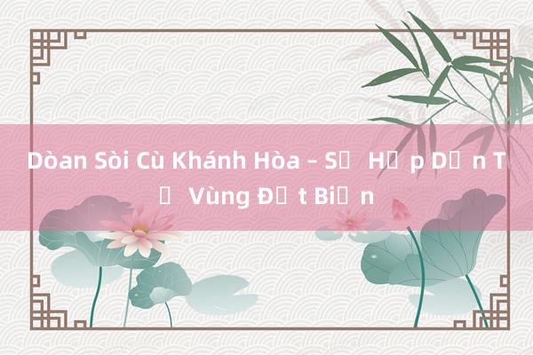 Dòan Sòi Cù Khánh Hòa – Sự Hấp Dẫn Từ Vùng Đất Biển