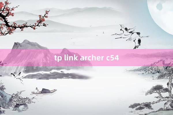 tp link archer c54