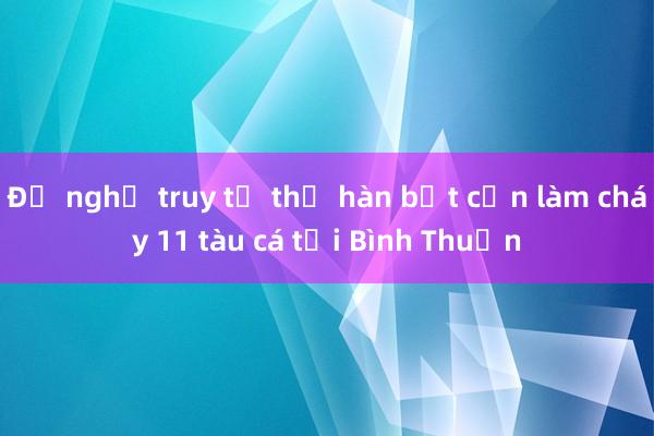 Đề nghị truy tố thợ hàn bất cẩn làm cháy 11 tàu cá tại Bình Thuận