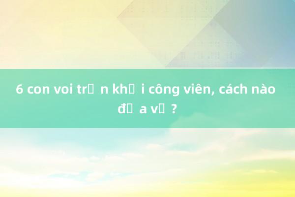 6 con voi trốn khỏi công viên, cách nào đưa về?