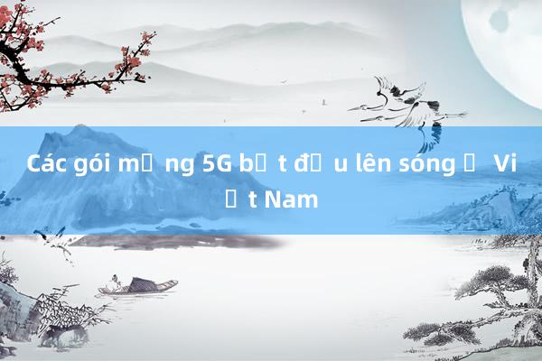 Các gói mạng 5G bắt đầu lên sóng ở Việt Nam