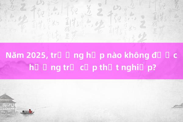 Năm 2025, trường hợp nào không được hưởng trợ cấp thất nghiệp?