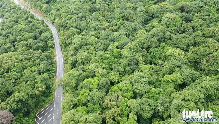 Giải thể， cổ phần hóa， xã hội hóa để tinh gọn bộ máy tại Bà Rịa - Vũng Tàu - Ảnh 3.