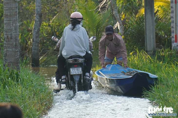 Bến Tre cảnh báo người dân kê cao đồ đạc để ứng phó với triều cường - Ảnh 1.