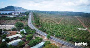 Các tỉ phú Việt chia sẻ chuyện đầu tư lên Tây Nguyên