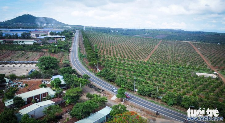 Tỉ phú Trần Bá Dương， chủ tịch Sun Group chia sẻ việc đầu tư lên Tây Nguyên - Ảnh 1.